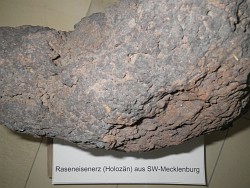 Abb. Raseneisenerzprobe aus der Landessammlung des Geologischen Dienstes Mecklenburg-Vorpommern