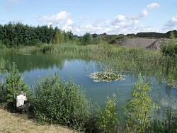 Rekultivierter Baggersee bei Zirkow (LK Vorpommern/Rügen)