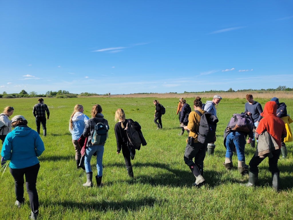 Eine Gruppe von Menschen wandert durch eine grüne Wiese an einem sonnigen Tag. Eine Gruppe von Menschen wandert durch eine grüne Wiese an einem sonnigen Tag.